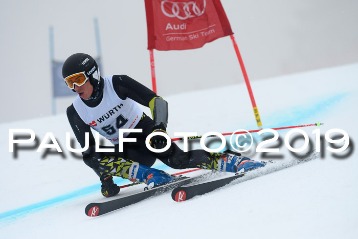 FIS + NJC Riesenslalom Damen + Herren 02.02.2019