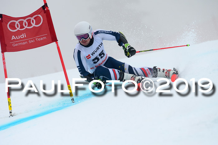 FIS + NJC Riesenslalom Damen + Herren 02.02.2019