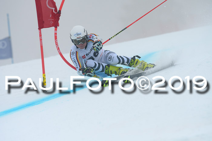 FIS + NJC Riesenslalom Damen + Herren 02.02.2019