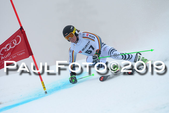 FIS + NJC Riesenslalom Damen + Herren 02.02.2019