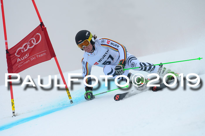 FIS + NJC Riesenslalom Damen + Herren 02.02.2019