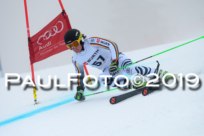 FIS + NJC Riesenslalom Damen + Herren 02.02.2019