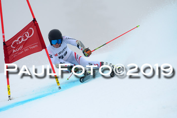 FIS + NJC Riesenslalom Damen + Herren 02.02.2019