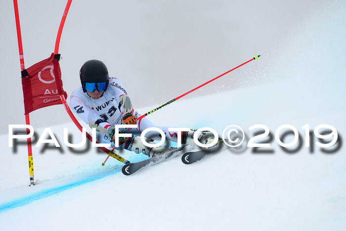 FIS + NJC Riesenslalom Damen + Herren 02.02.2019