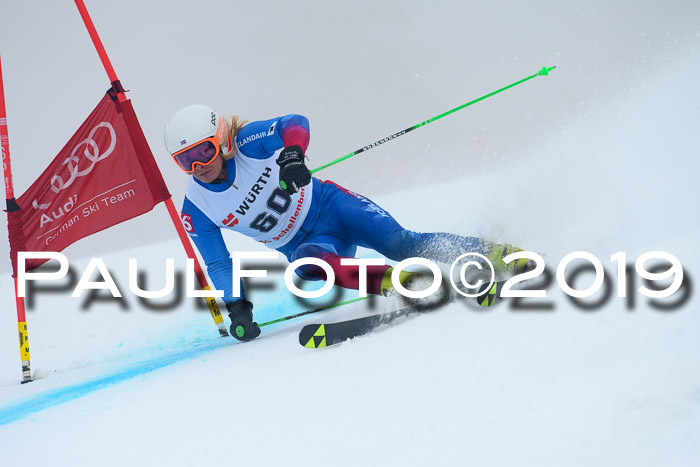 FIS + NJC Riesenslalom Damen + Herren 02.02.2019