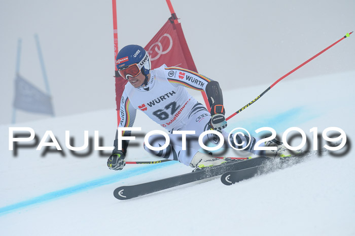 FIS + NJC Riesenslalom Damen + Herren 02.02.2019