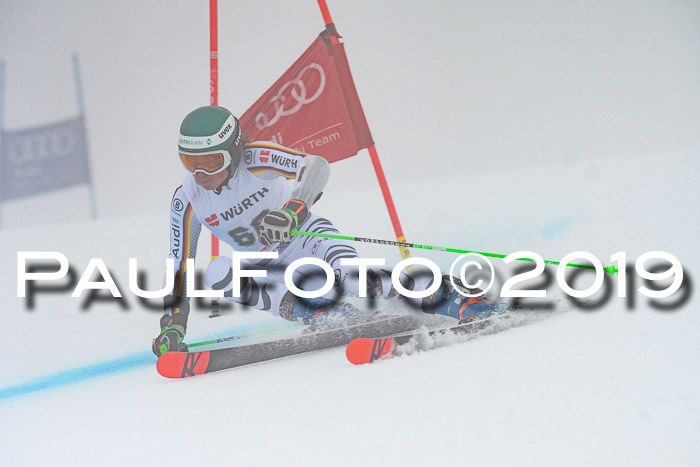 FIS + NJC Riesenslalom Damen + Herren 02.02.2019