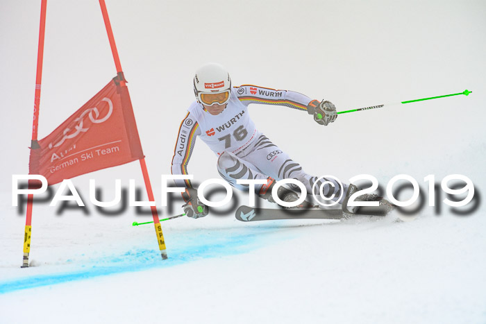 FIS + NJC Riesenslalom Damen + Herren 02.02.2019