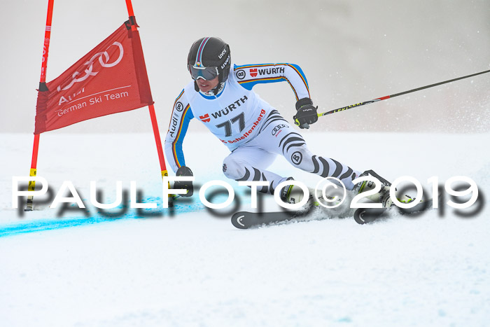 FIS + NJC Riesenslalom Damen + Herren 02.02.2019