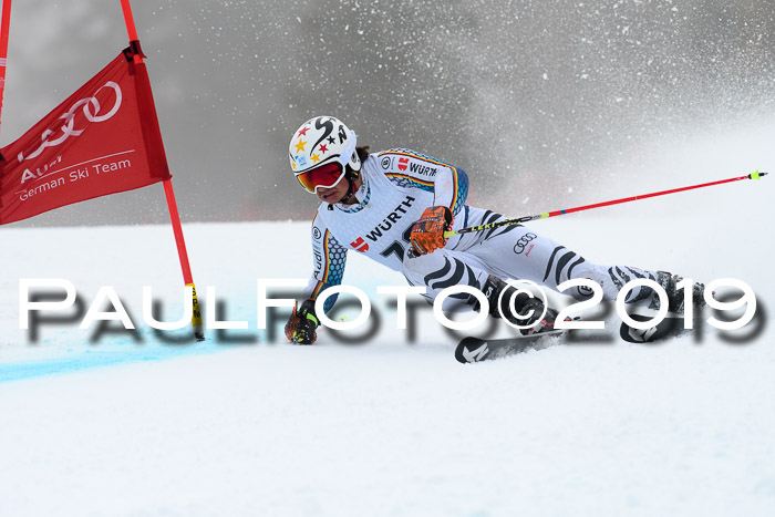 FIS + NJC Riesenslalom Damen + Herren 02.02.2019