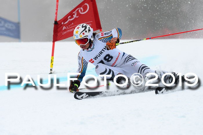 FIS + NJC Riesenslalom Damen + Herren 02.02.2019