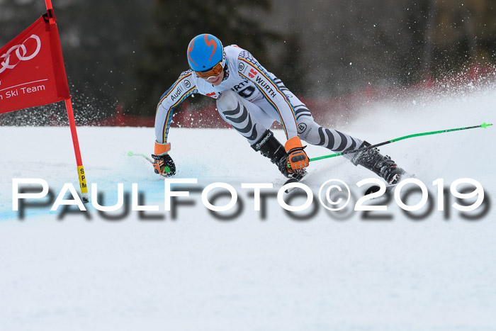 FIS + NJC Riesenslalom Damen + Herren 02.02.2019