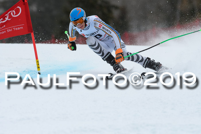 FIS + NJC Riesenslalom Damen + Herren 02.02.2019