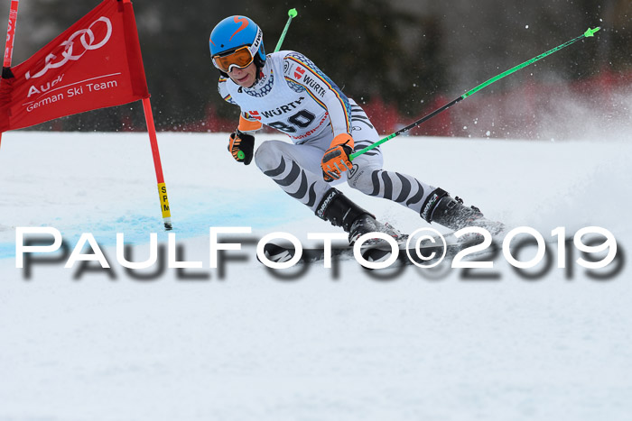 FIS + NJC Riesenslalom Damen + Herren 02.02.2019