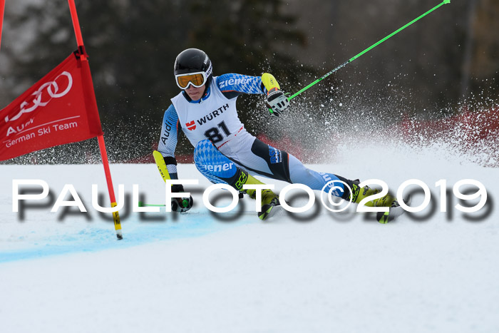 FIS + NJC Riesenslalom Damen + Herren 02.02.2019