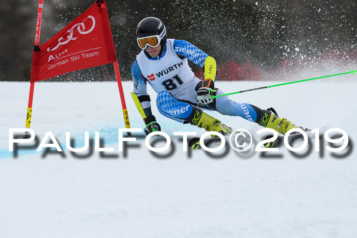 FIS + NJC Riesenslalom Damen + Herren 02.02.2019