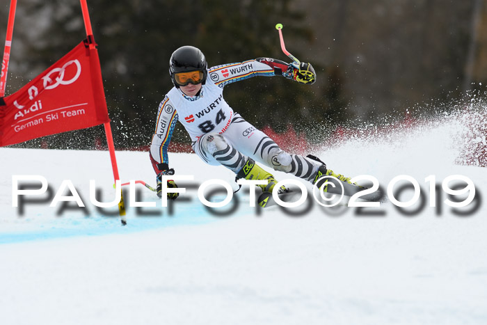 FIS + NJC Riesenslalom Damen + Herren 02.02.2019