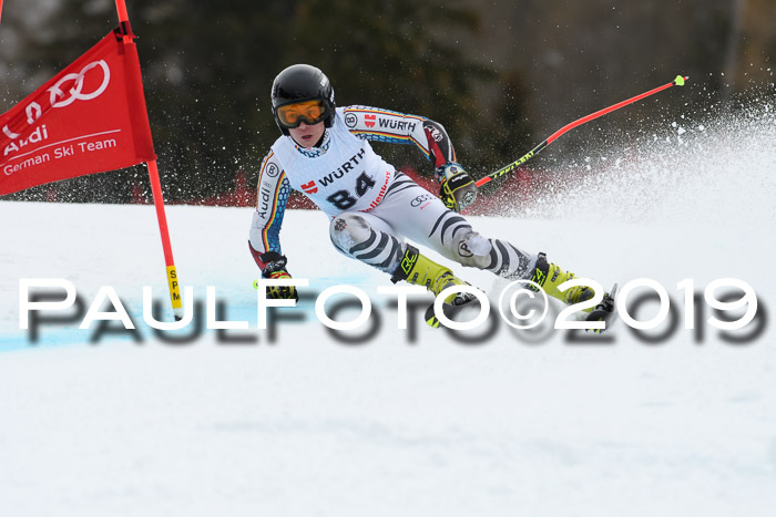 FIS + NJC Riesenslalom Damen + Herren 02.02.2019