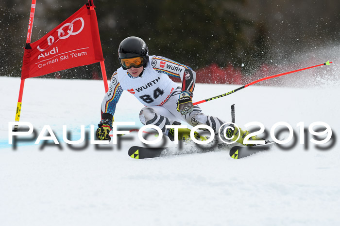 FIS + NJC Riesenslalom Damen + Herren 02.02.2019