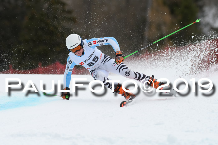 FIS + NJC Riesenslalom Damen + Herren 02.02.2019