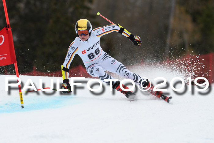 FIS + NJC Riesenslalom Damen + Herren 02.02.2019