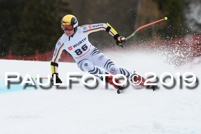 FIS + NJC Riesenslalom Damen + Herren 02.02.2019