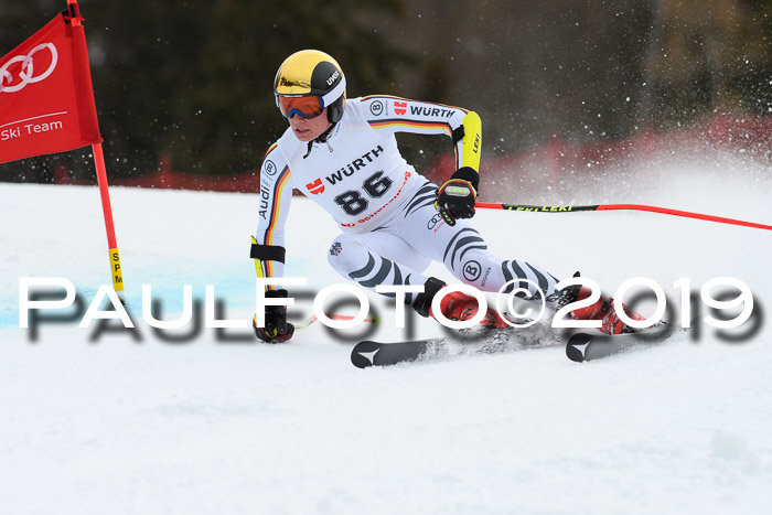 FIS + NJC Riesenslalom Damen + Herren 02.02.2019
