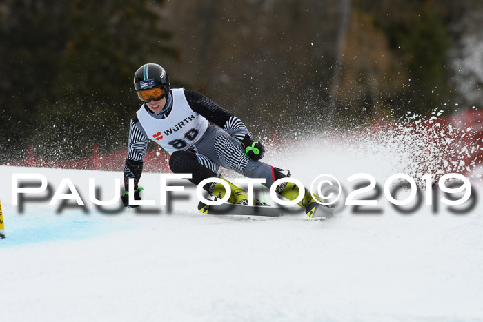 FIS + NJC Riesenslalom Damen + Herren 02.02.2019