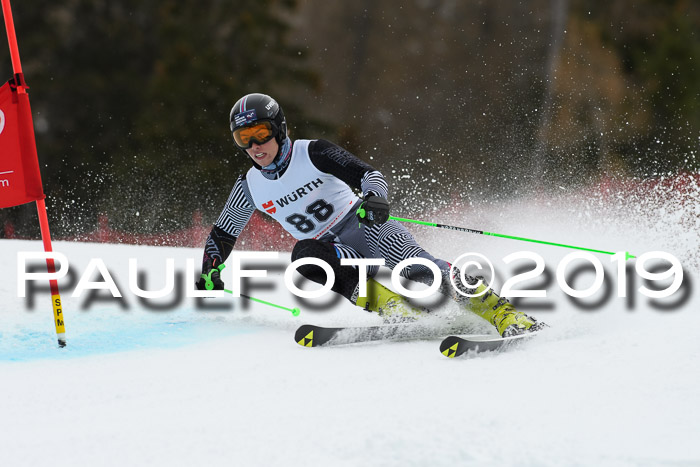 FIS + NJC Riesenslalom Damen + Herren 02.02.2019
