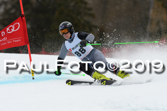 FIS + NJC Riesenslalom Damen + Herren 02.02.2019