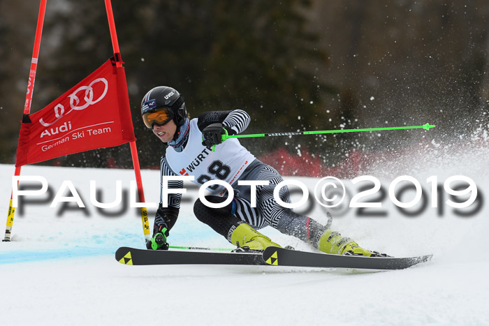 FIS + NJC Riesenslalom Damen + Herren 02.02.2019
