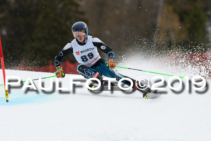 FIS + NJC Riesenslalom Damen + Herren 02.02.2019