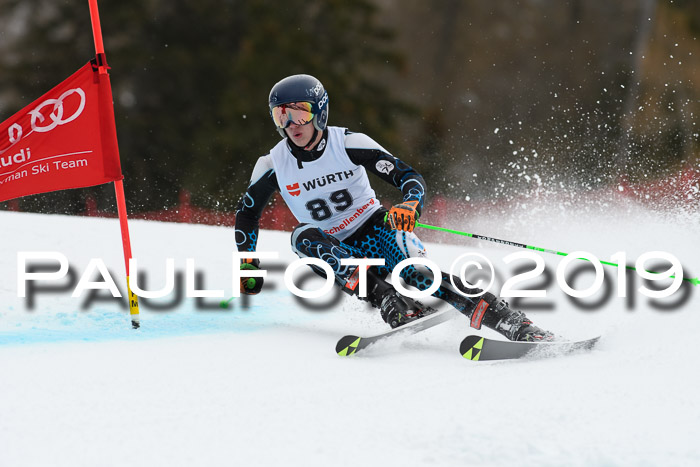 FIS + NJC Riesenslalom Damen + Herren 02.02.2019