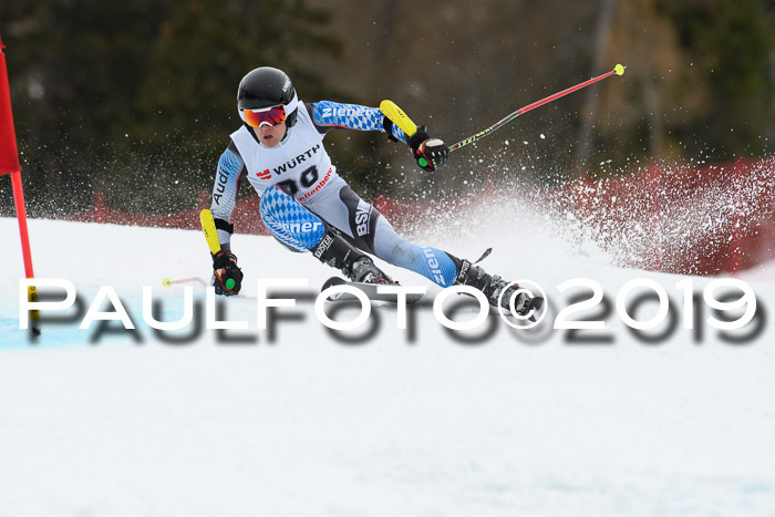 FIS + NJC Riesenslalom Damen + Herren 02.02.2019