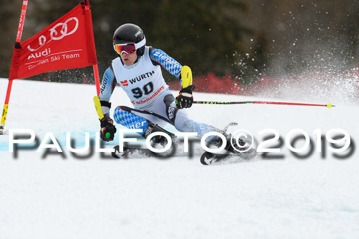 FIS + NJC Riesenslalom Damen + Herren 02.02.2019