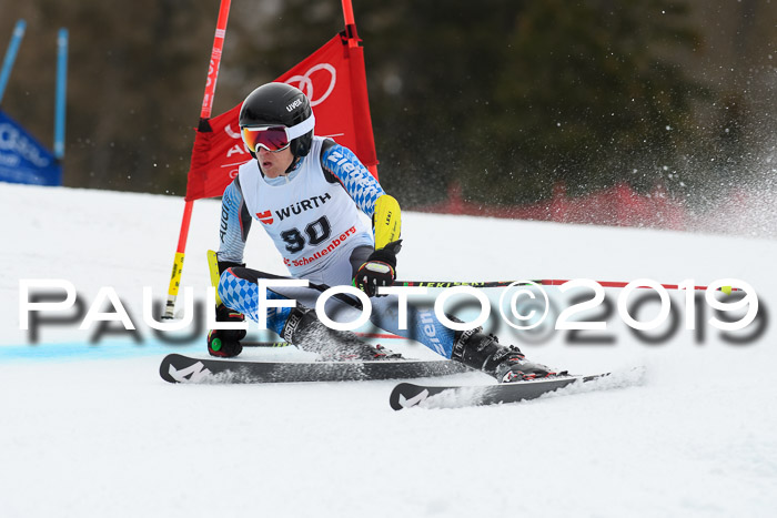 FIS + NJC Riesenslalom Damen + Herren 02.02.2019