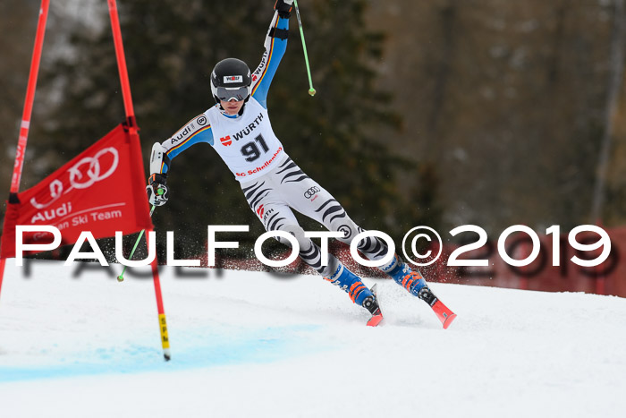 FIS + NJC Riesenslalom Damen + Herren 02.02.2019