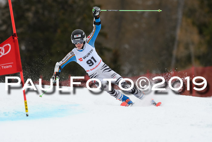 FIS + NJC Riesenslalom Damen + Herren 02.02.2019