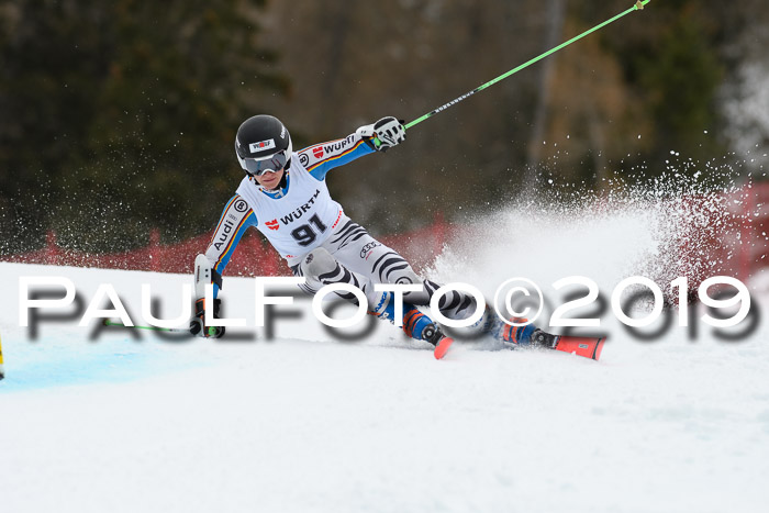 FIS + NJC Riesenslalom Damen + Herren 02.02.2019