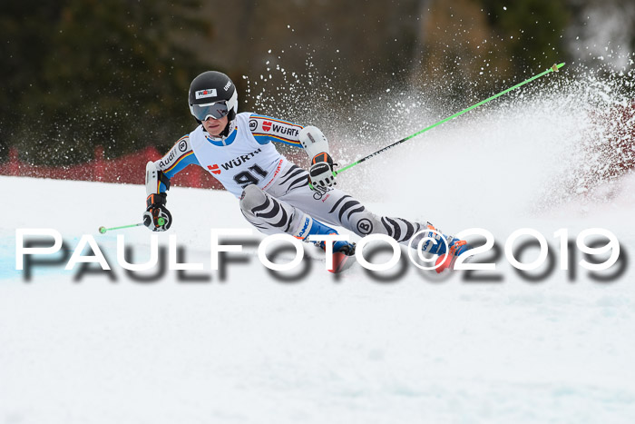 FIS + NJC Riesenslalom Damen + Herren 02.02.2019