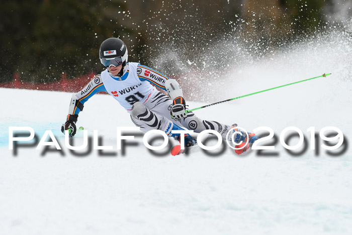 FIS + NJC Riesenslalom Damen + Herren 02.02.2019