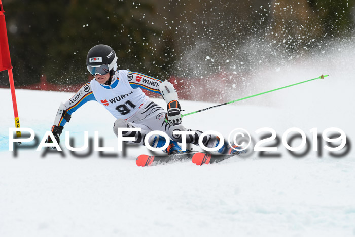 FIS + NJC Riesenslalom Damen + Herren 02.02.2019