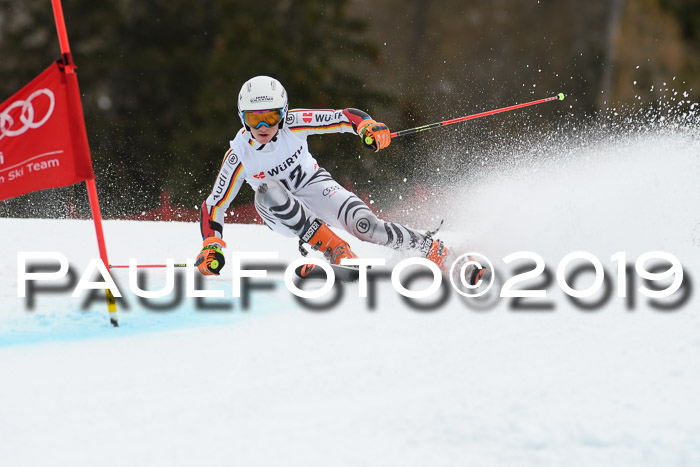 FIS + NJC Riesenslalom Damen + Herren 02.02.2019
