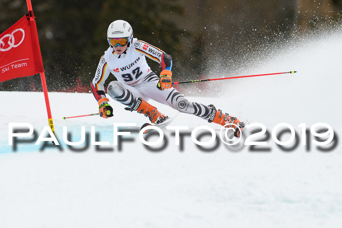 FIS + NJC Riesenslalom Damen + Herren 02.02.2019