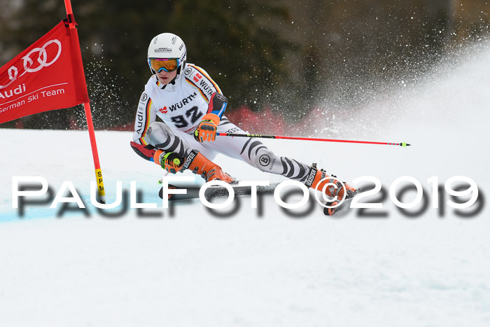 FIS + NJC Riesenslalom Damen + Herren 02.02.2019