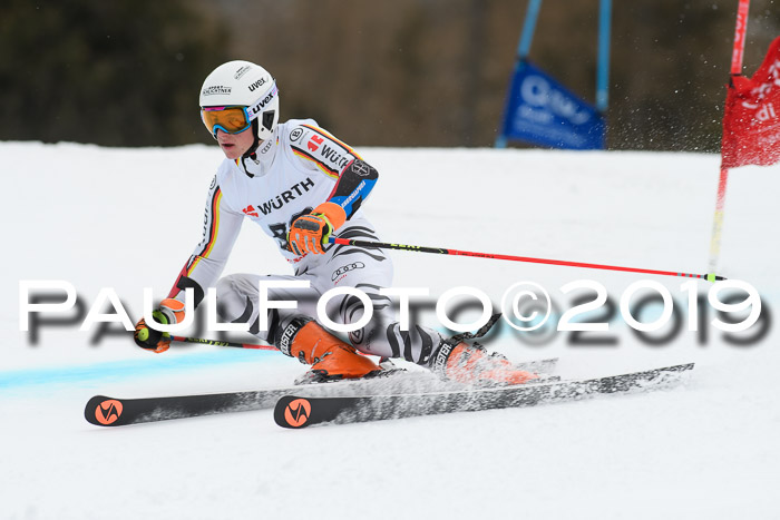 FIS + NJC Riesenslalom Damen + Herren 02.02.2019