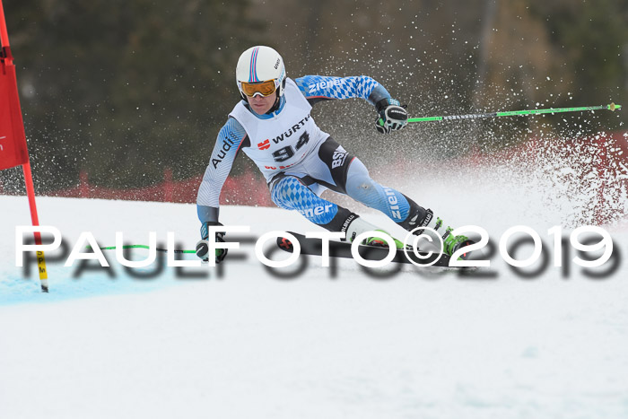 FIS + NJC Riesenslalom Damen + Herren 02.02.2019