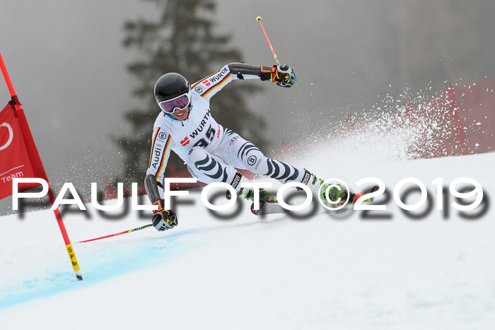 FIS + NJC Riesenslalom Damen + Herren 02.02.2019