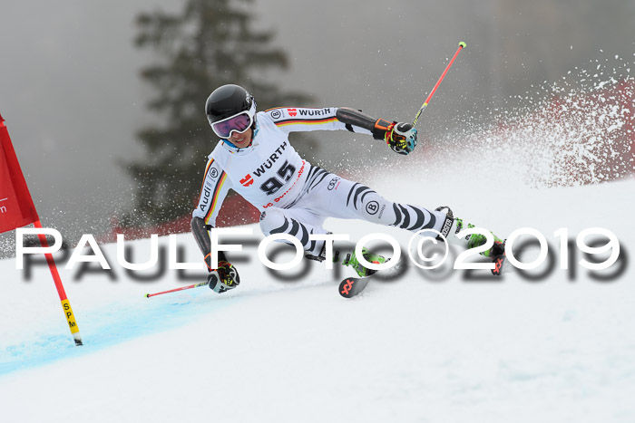 FIS + NJC Riesenslalom Damen + Herren 02.02.2019