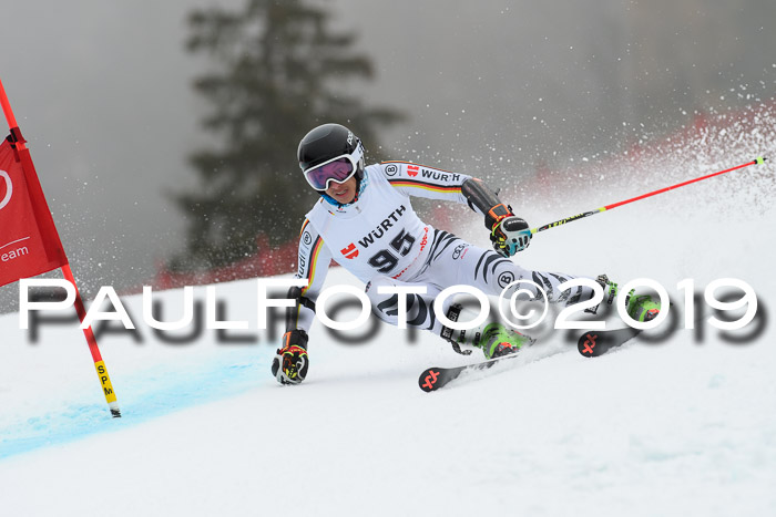 FIS + NJC Riesenslalom Damen + Herren 02.02.2019
